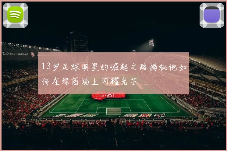 13岁足球明星的崛起之路揭秘他如何在绿茵场上闪耀光芒