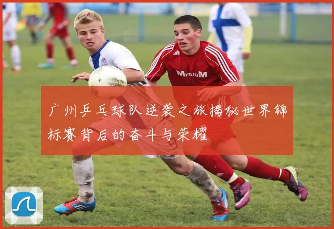 广州乒乓球队逆袭之旅揭秘世界锦标赛背后的奋斗与荣耀