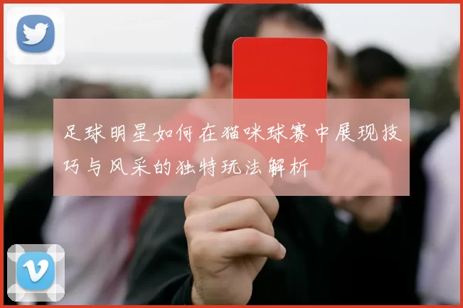 足球明星如何在猫咪球赛中展现技巧与风采的独特玩法解析