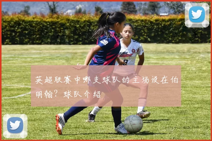 英超联赛中哪支球队的主场设在伯明翰？球队介绍