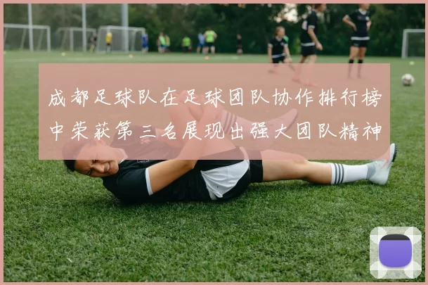 成都足球队在足球团队协作排行榜中荣获第三名展现出强大团队精神与协作能力