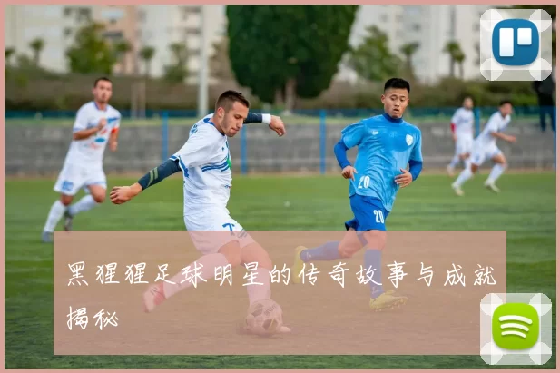 黑猩猩足球明星的传奇故事与成就揭秘