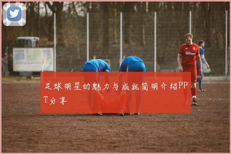 足球明星的魅力与成就简明介绍PPT分享