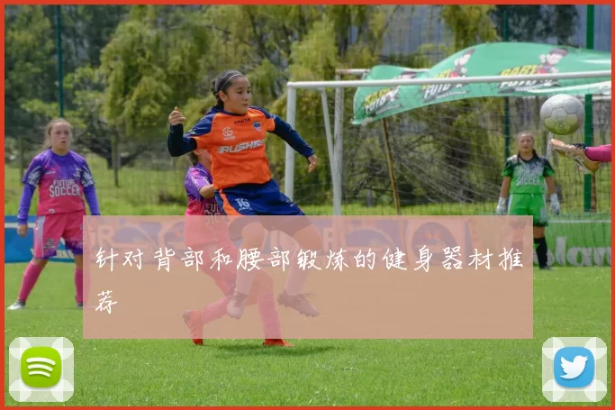 针对背部和腰部锻炼的健身器材推荐