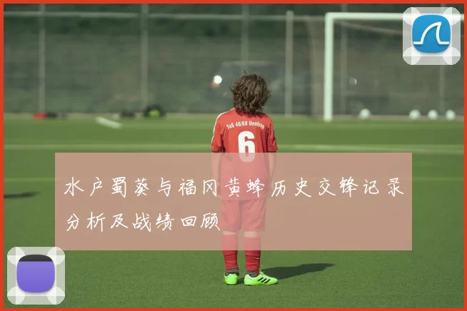 水户蜀葵与福冈黄蜂历史交锋记录分析及战绩回顾