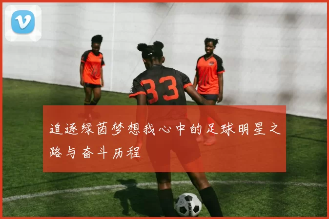 追逐绿茵梦想我心中的足球明星之路与奋斗历程