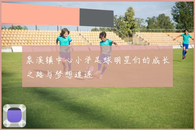 泉溪镇中心小学足球明星们的成长之路与梦想追逐