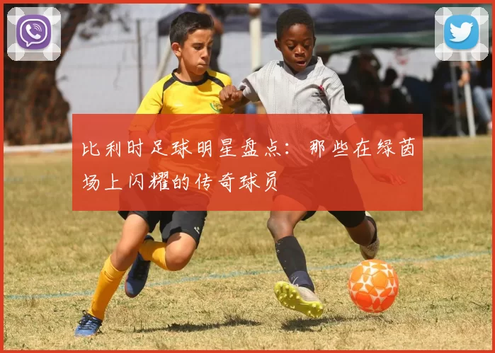 比利时足球明星盘点：那些在绿茵场上闪耀的传奇球员